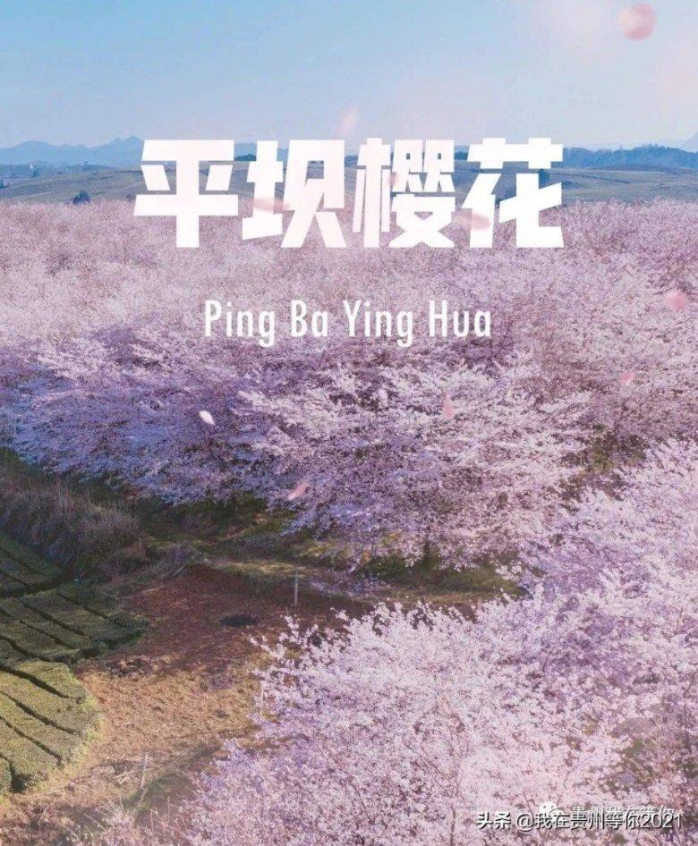逃出郊外露营地