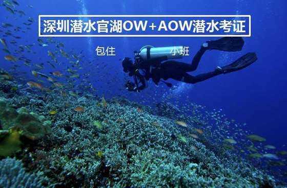 “杀伤网”是张什么样的网
