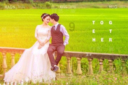 Methacrylated Hyaluronic acid,HAMA,既具有亲水性又具有亲脂性