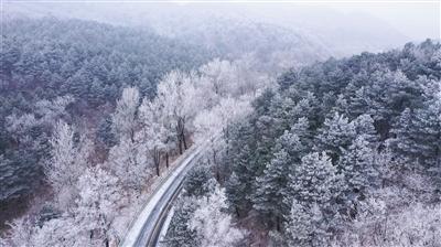 隔壁老王偷香记